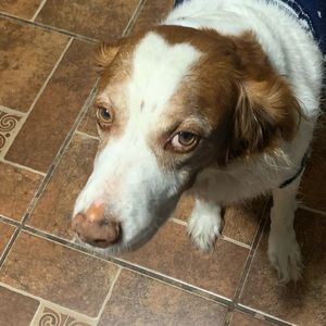 Meet your Posher, Yadira